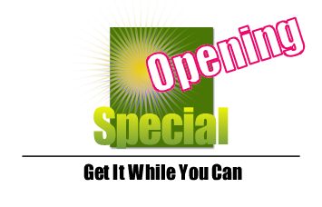 Opening Special - Get It While You Can